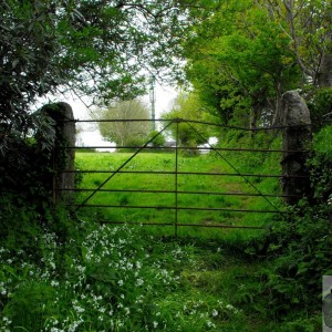 Disused gate
