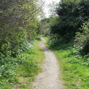 Trackbed path