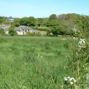 View of countryside to left as I approach Mousehole