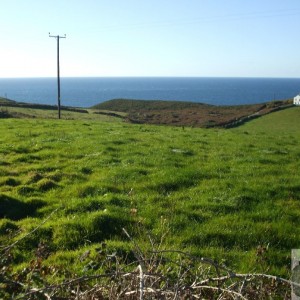 View from lane to Pendeen Manor Farm - 24Oct10