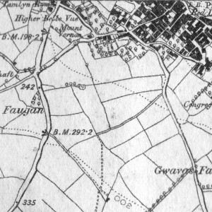 Newlyn South 1875