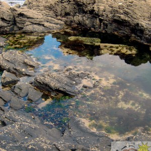 Coastal Rock Pool 3