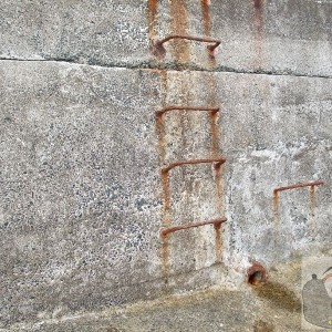 Ladder steps