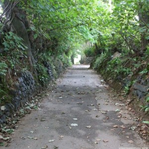 the mystery lane