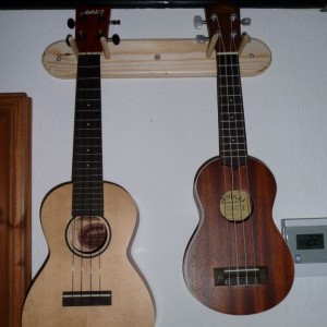 Additions to my acoustic family
