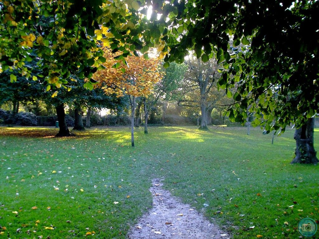 Autumn scene in Penlee Park
