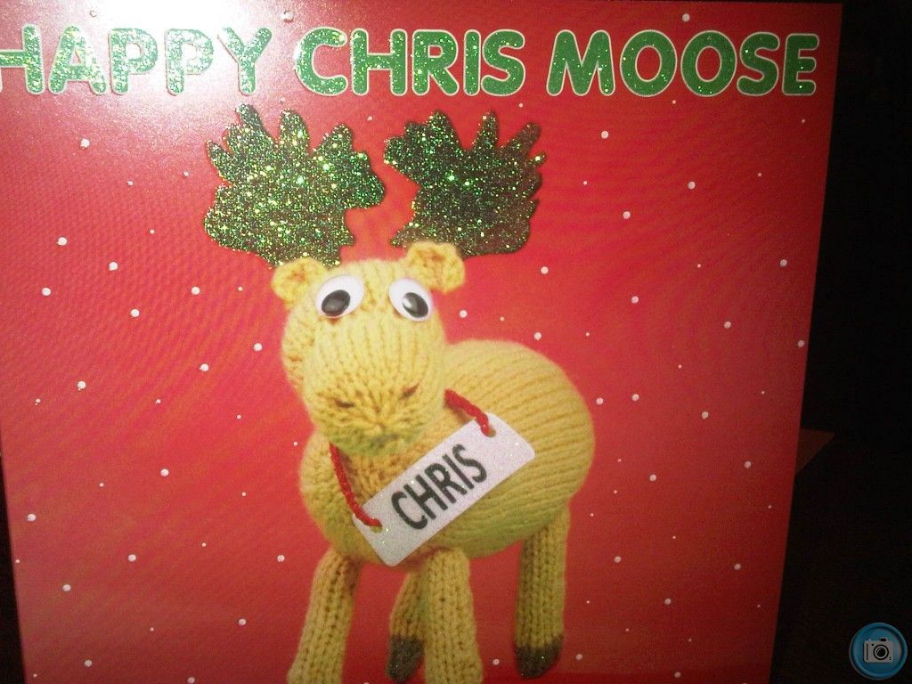 Happy Chrismoose