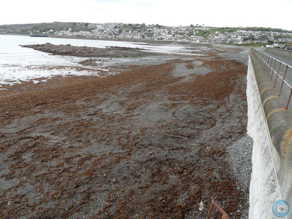 Low  tide.  Mount's  Bay.